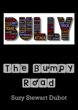the bumpy road book cover image