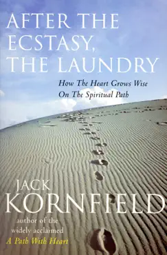 after the ecstasy, the laundry imagen de la portada del libro