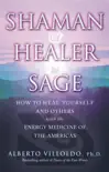 Shaman, Healer, Sage sinopsis y comentarios