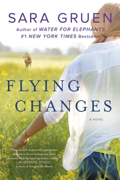 flying changes book cover image