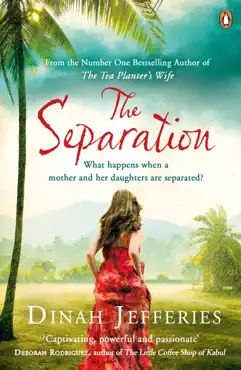 the separation book cover image