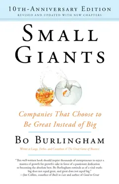 small giants book cover image