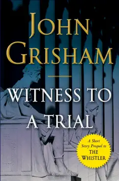 witness to a trial book cover image
