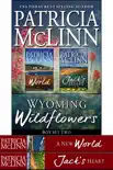 Wyoming Wildflowers Box Set Two sinopsis y comentarios