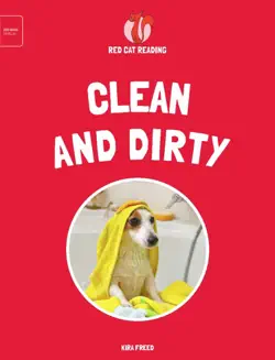 clean and dirty book cover image