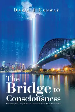 the bridge to consciousness book cover image