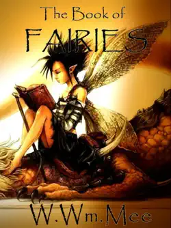 the book of fairies book cover image