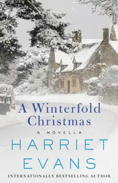a winterfold christmas book cover image