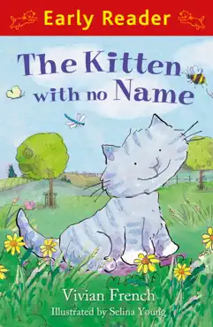the kitten with no name book cover image
