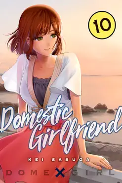 domestic girlfriend volume 10 book cover image