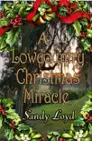 A Lowcountry Christmas Miracle synopsis, comments