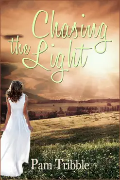 chasing the light book cover image