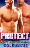 Protect (A Gay Stepbrother Romance) book summary, reviews and download