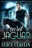 Secret Jaguar synopsis, comments