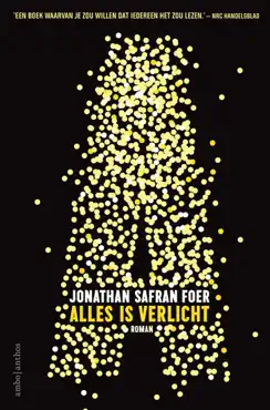 alles is verlicht book cover image