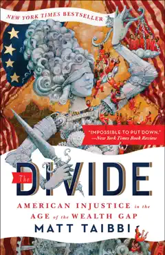 the divide book cover image