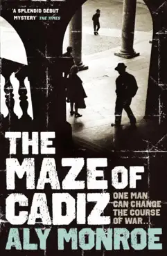 the maze of cadiz book cover image