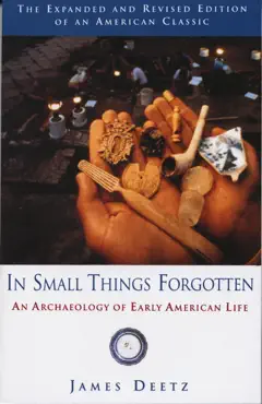 in small things forgotten book cover image
