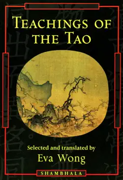 teachings of the tao book cover image