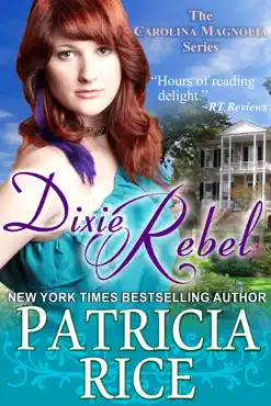 dixie rebel book cover image