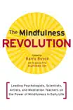 The Mindfulness Revolution synopsis, comments