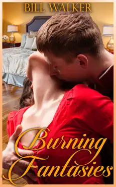 burning fantasies book cover image