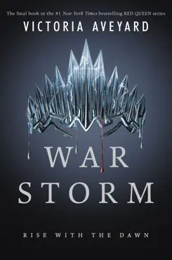 war storm book cover image