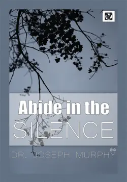 abide in the silence book cover image