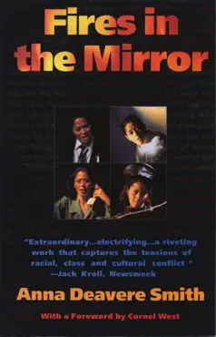 fires in the mirror book cover image