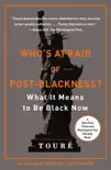 Who's Afraid of Post-Blackness? sinopsis y comentarios
