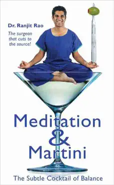 meditation and martini book cover image