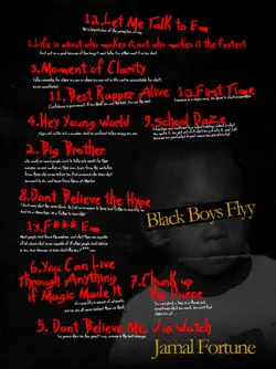 black boys, flyy. book cover image