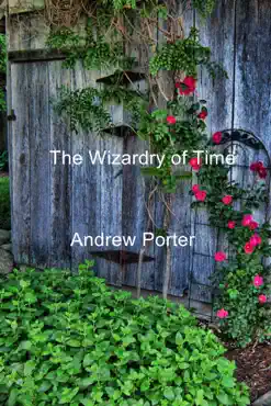 the wizardry of time book cover image