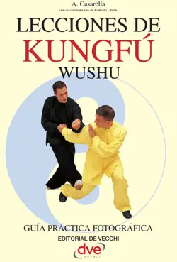 lecciones de kung fu imagen de la portada del libro