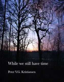 while we still have time book cover image