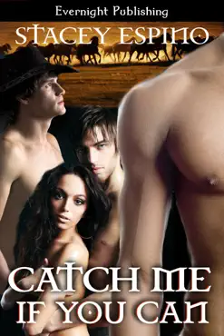 catch me if you can book cover image