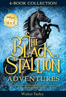 the black stallion adventures book cover image