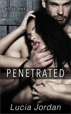 penetrated book cover image