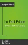 Le Petit Prince d'Antoine de Saint-Exupéry (Analyse approfondie) sinopsis y comentarios