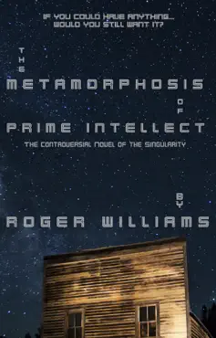 the metamorphosis of prime intellect book cover image