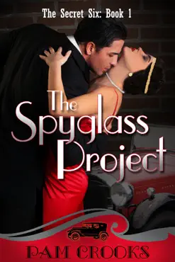 the spyglass project book cover image