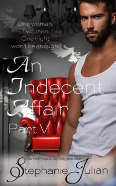an indecent affair part v book cover image