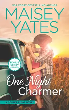 one night charmer book cover image