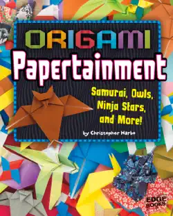 origami papertainment book cover image