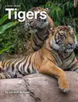 Tigers sinopsis y comentarios