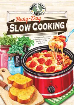 busy-day slow cooking cookbook book cover image