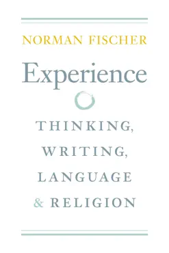 experience book cover image