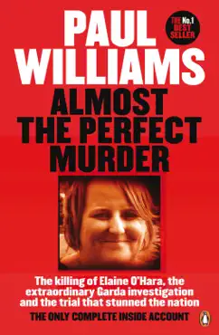 almost the perfect murder book cover image