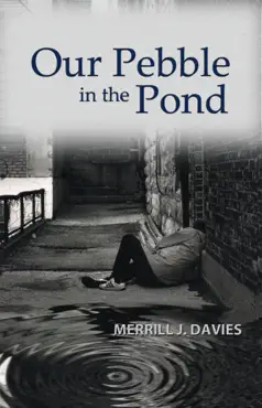 our pebble in the pond book cover image