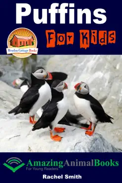puffins for kids book cover image